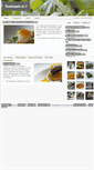Mobile Screenshot of kookjegek.nl